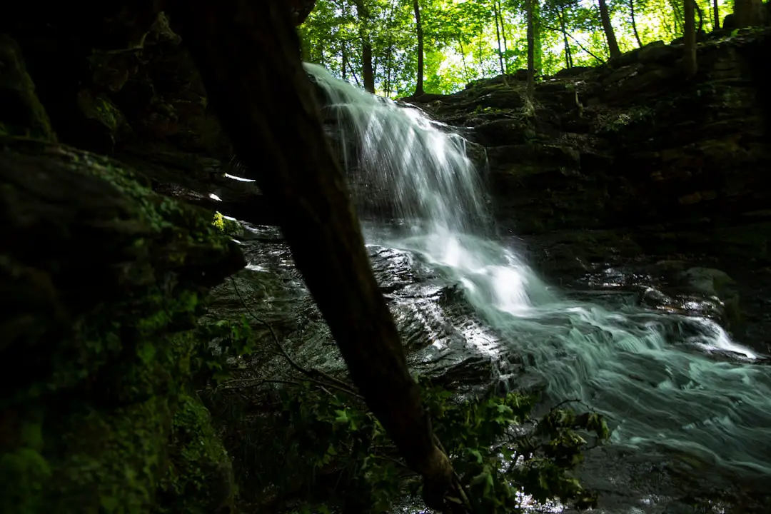 a waterfall in a forest