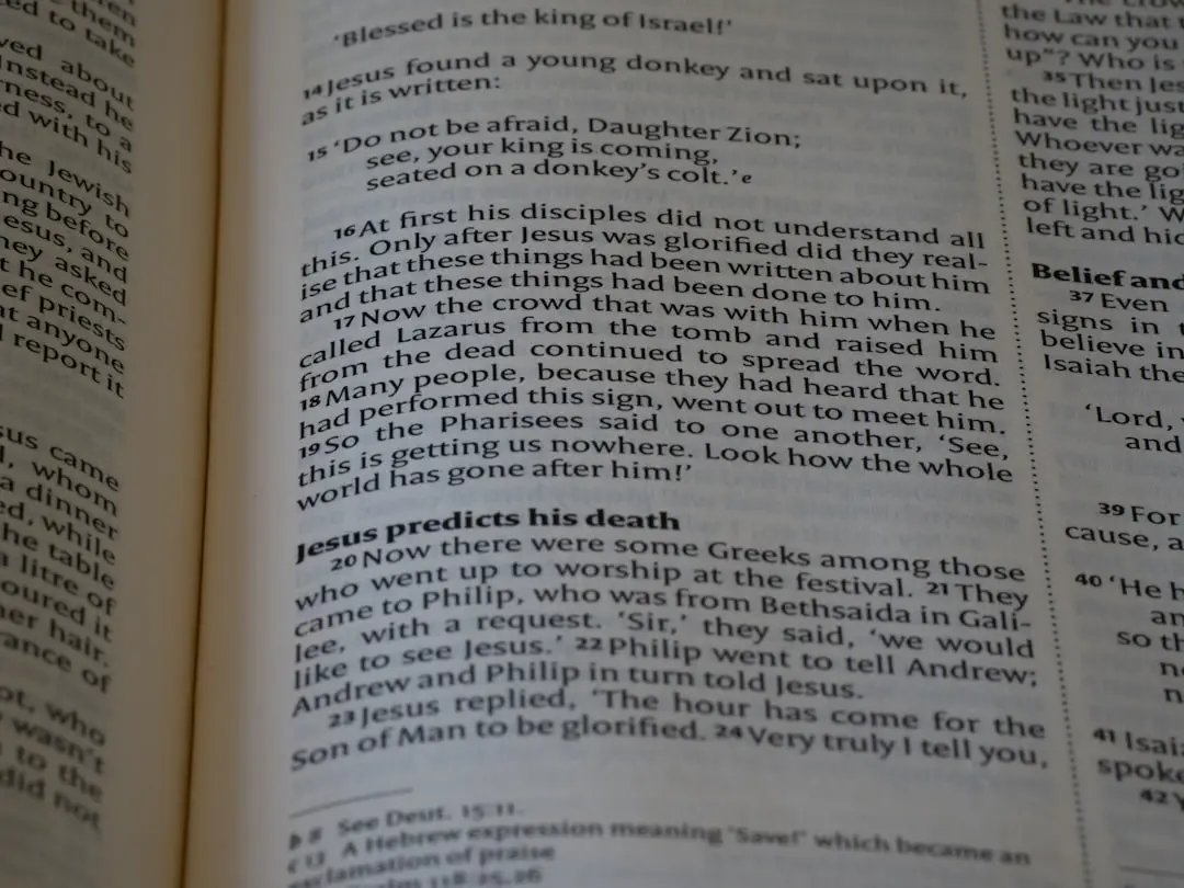 A close up of an open book on a table