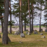 Featured image for Where Is Avicii Buried Uncovering the Truth Behind the Mystery