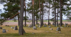 Featured image for Where Is Avicii Buried Uncovering the Truth Behind the Mystery