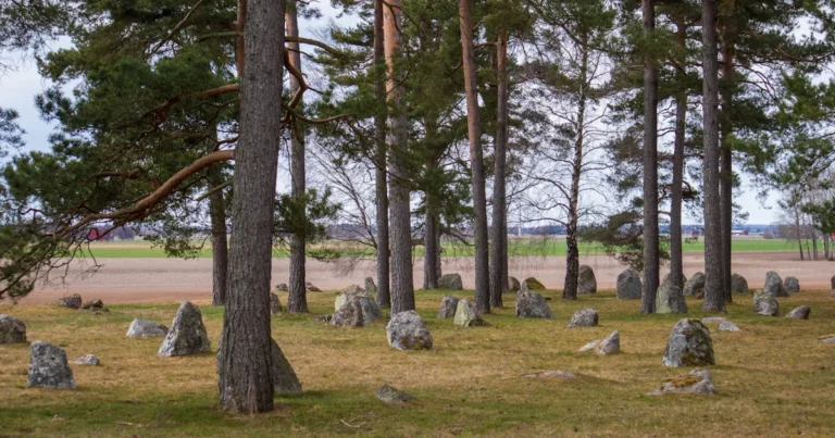 Featured image for Where Is Avicii Buried Uncovering the Truth Behind the Mystery